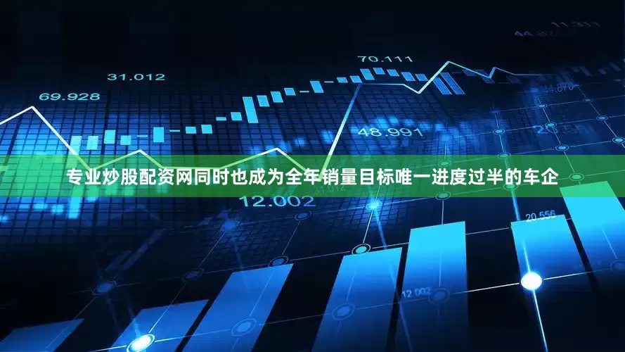 专业炒股配资网同时也成为全年销量目标唯一进度过半的车企