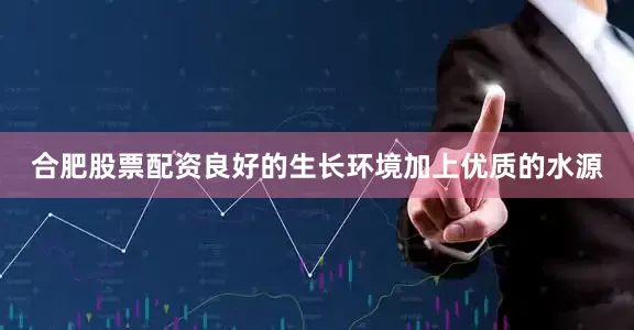 合肥股票配资良好的生长环境加上优质的水源