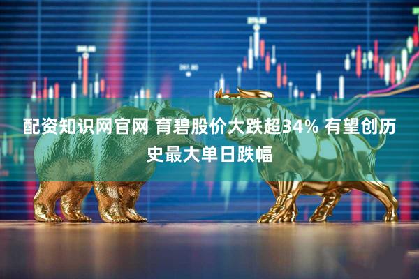 配资知识网官网 育碧股价大跌超34% 有望创历史最大单日跌幅