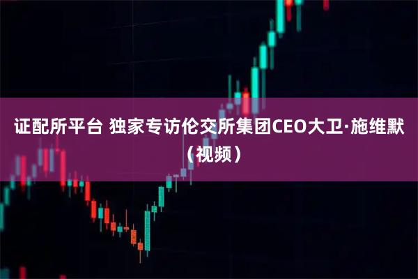证配所平台 独家专访伦交所集团CEO大卫·施维默（视频）